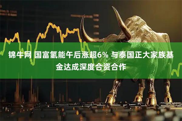 锦牛网 国富氢能午后涨超6% 与泰国正大家族基金达成深度合资合作